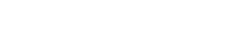 AFZAL POINT